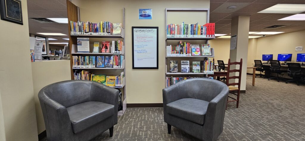 Two chairs for reading in front of a two shelves full of books