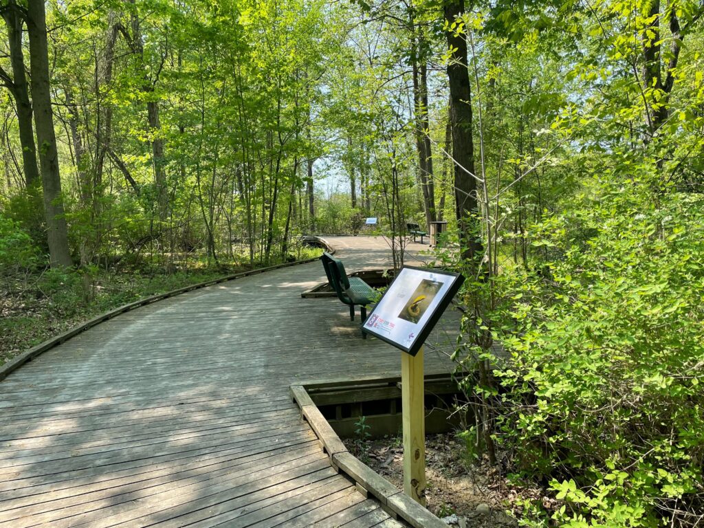 Linden Story Book Trail