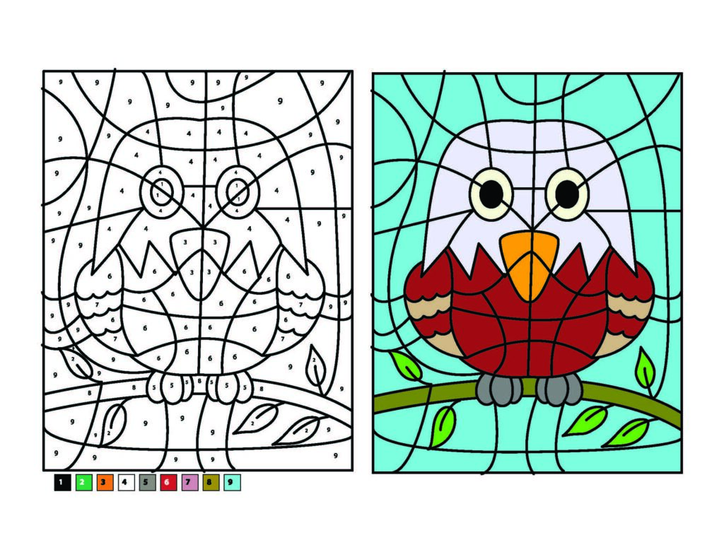 Eagle Color by Number