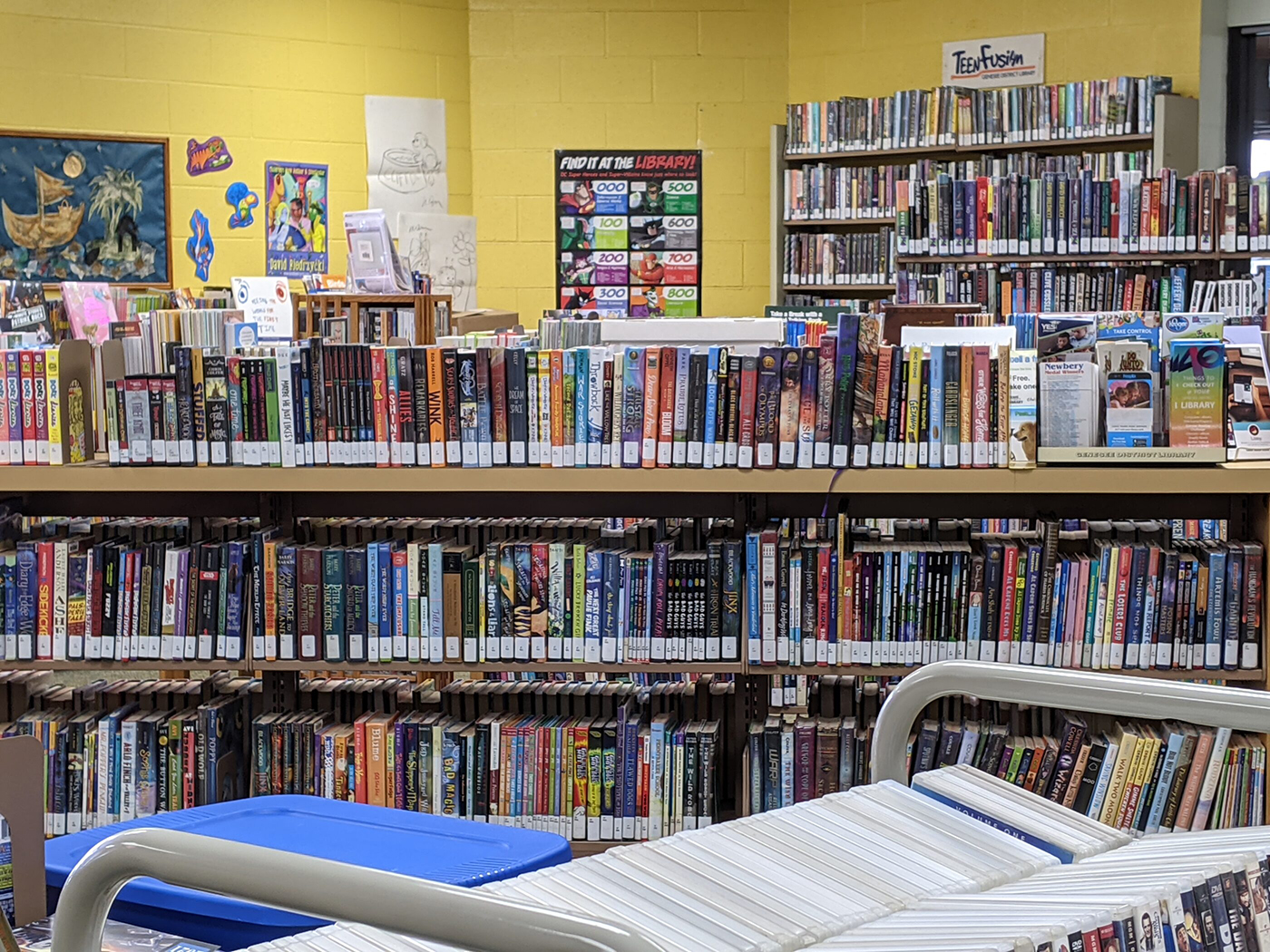 A shelf of Junior Fiction books